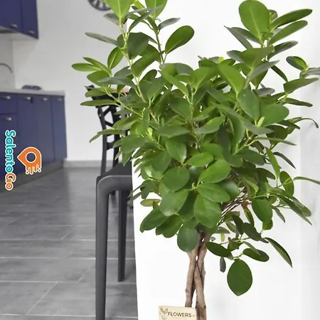 La Casa Belmar By Salentogo טורה לפילו